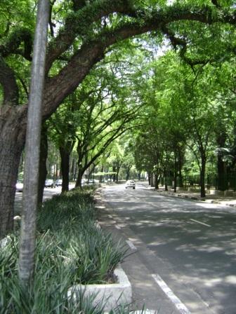 Caminho para UMAPAZ