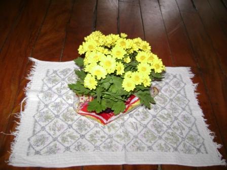 Flores