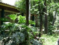 Ambiente UMAPAZ
