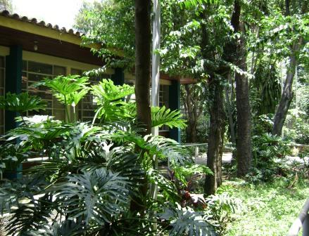 Ambiente UMAPAZ