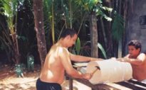Tácio e Túlio colaborando