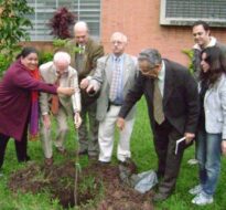 Turma do evento plantando árvore
