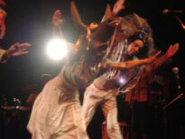 Centro Cultural São Paulo (2008) - Boi do Maranh