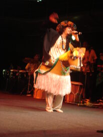 Centro Cultural São Paulo (2008) - cavalo-marinho