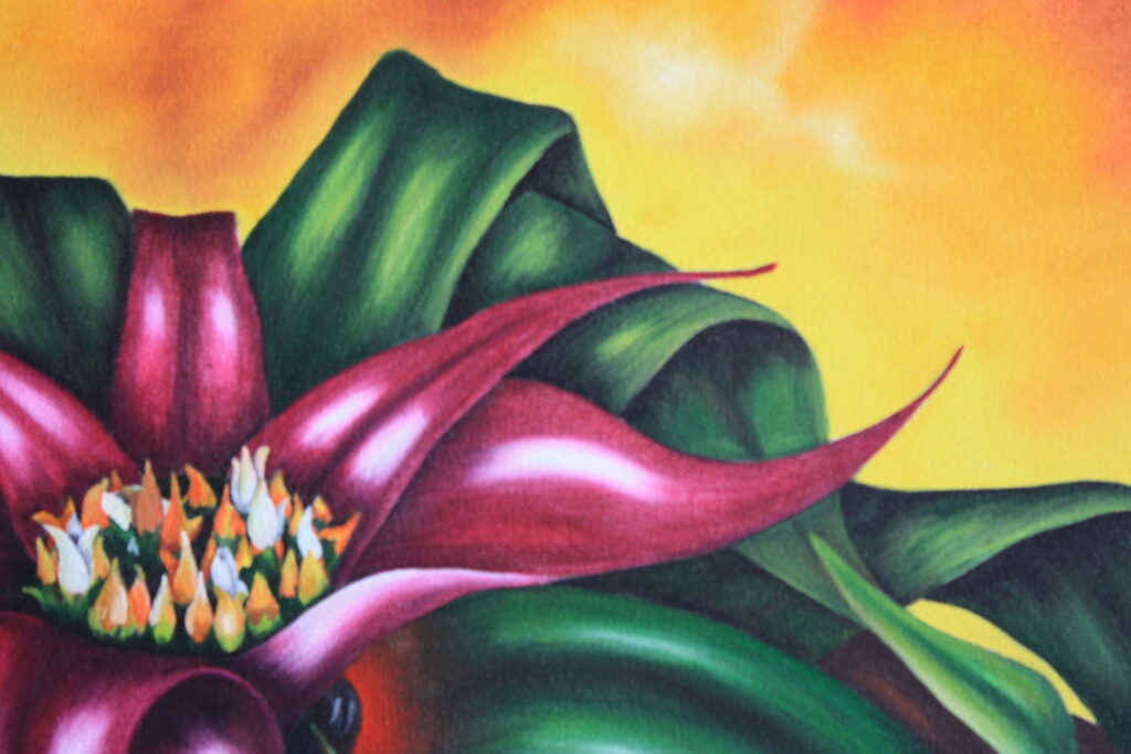 pinturas