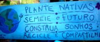 Semeie o Futuro
