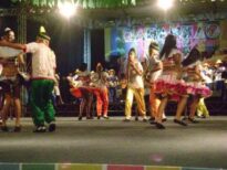 Brincantes de quadrilha I