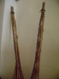 Matapis