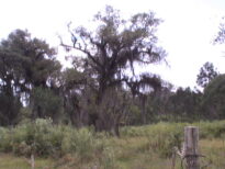 Comunidade Espírito Santo, Rio Rufino