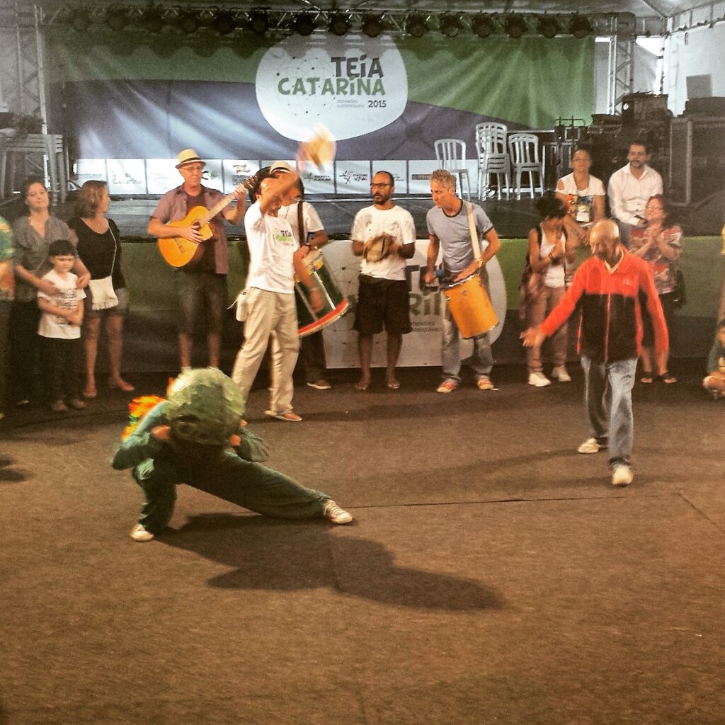 Boi de Mamão